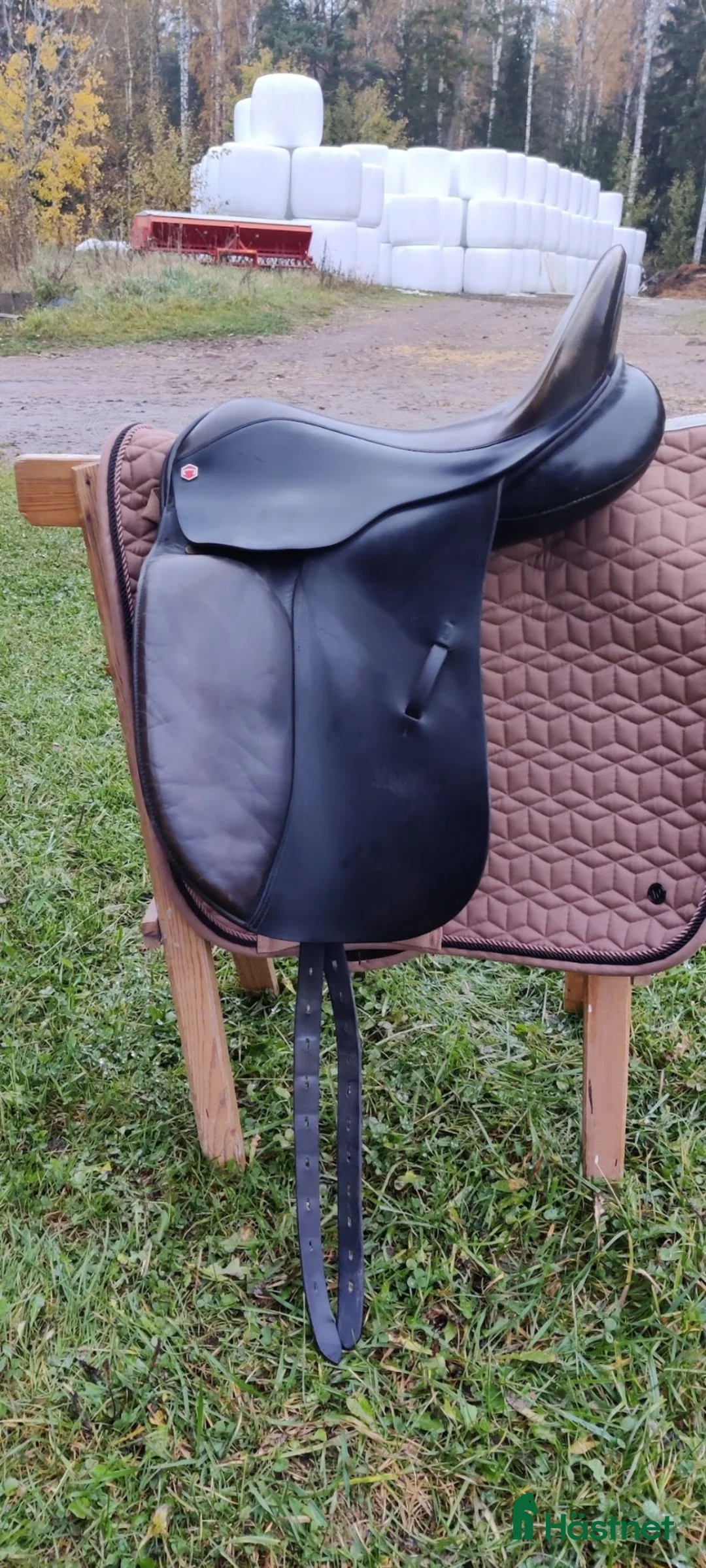 Sadlar hästutrustning till salu: Albion Classic Comfort 17" - Annons 1