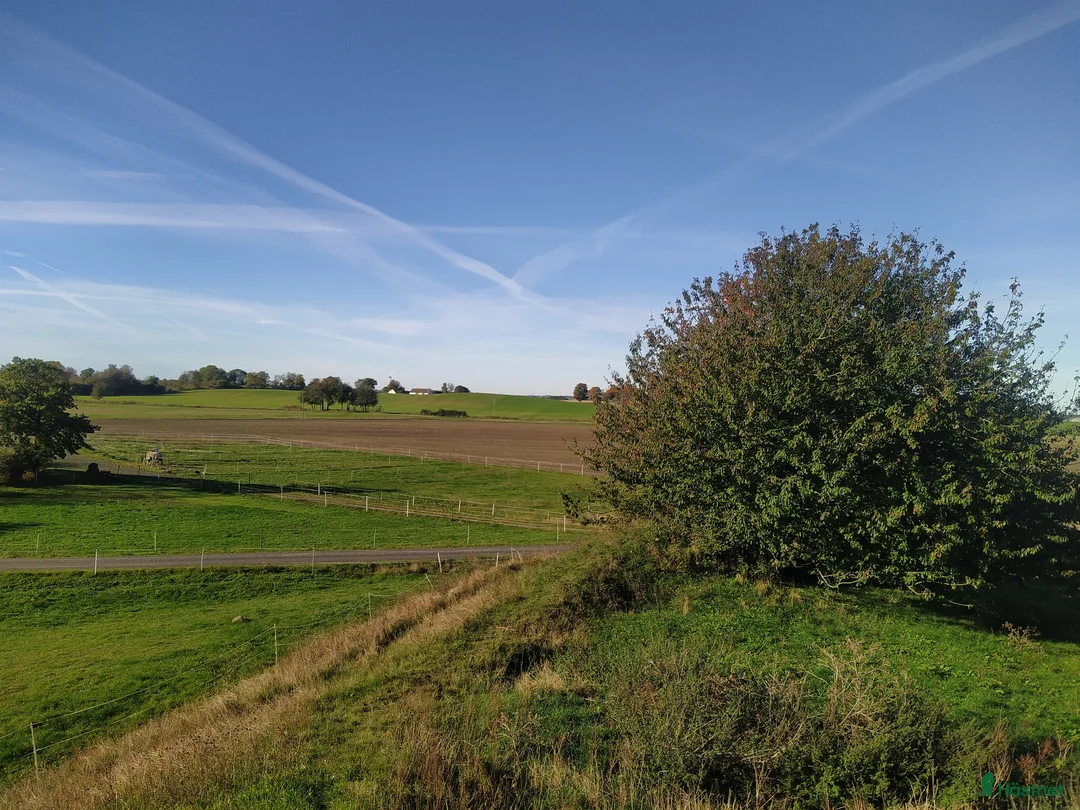  stallplats finnes: Hästboxar att hyra på en fantastisk tomt.  i Tomelilla - Annons 6