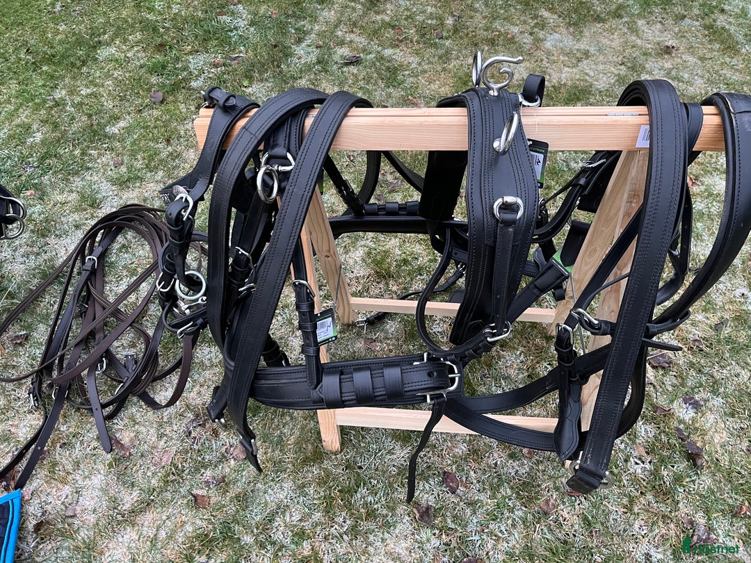 Körselar körning till salu: Parselar ponny Ideal i Västra Ämtervik - Annons 12