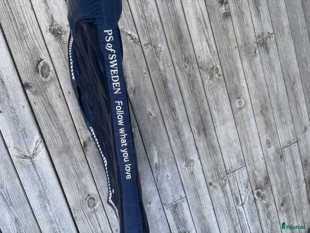 Schabrak & Vojlockar hästutrustning till salu: Ps of Sweden dressyr schabrak  - Annons 3