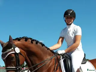 hästar Mor- och dotterhäst - Annons 4