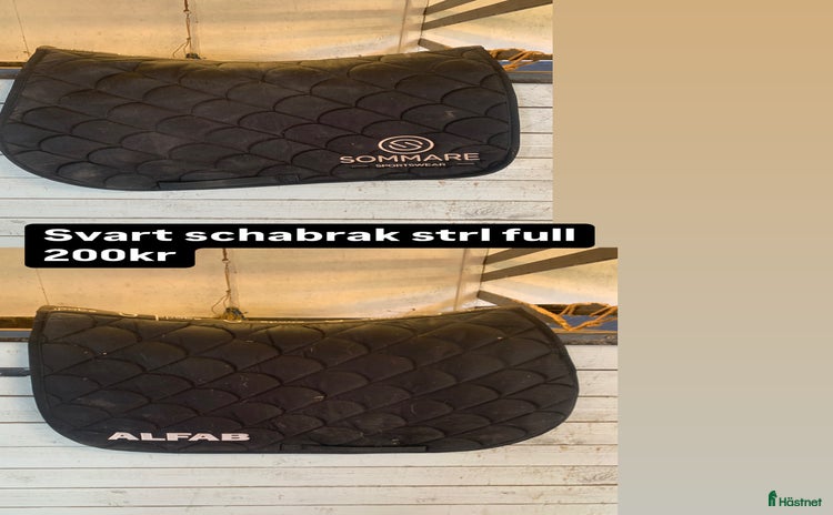 Schabrak & Vojlockar hästutrustning till salu i Mjölby - Annons 9