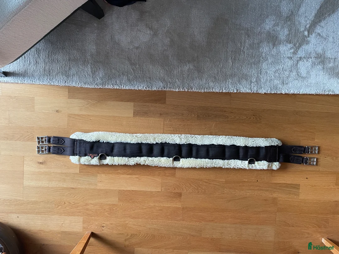 Sadeltillbehör hästutrustning till salu: Brun sadelgjord 125 cm Kentucky  - Annons 1
