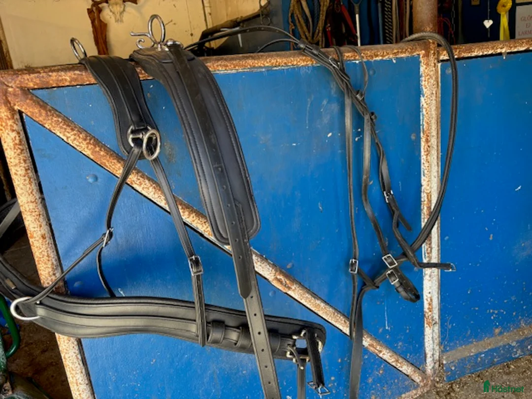 Körselar körning till salu: Parselar - Annons 1