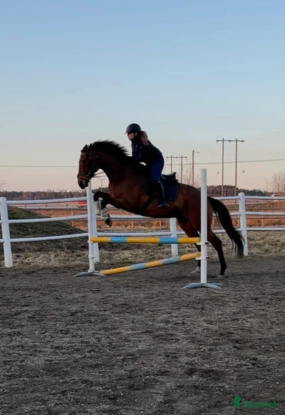 Allround hästar till salu: Personligt fullblodssto med mycket känsla - Annons 1