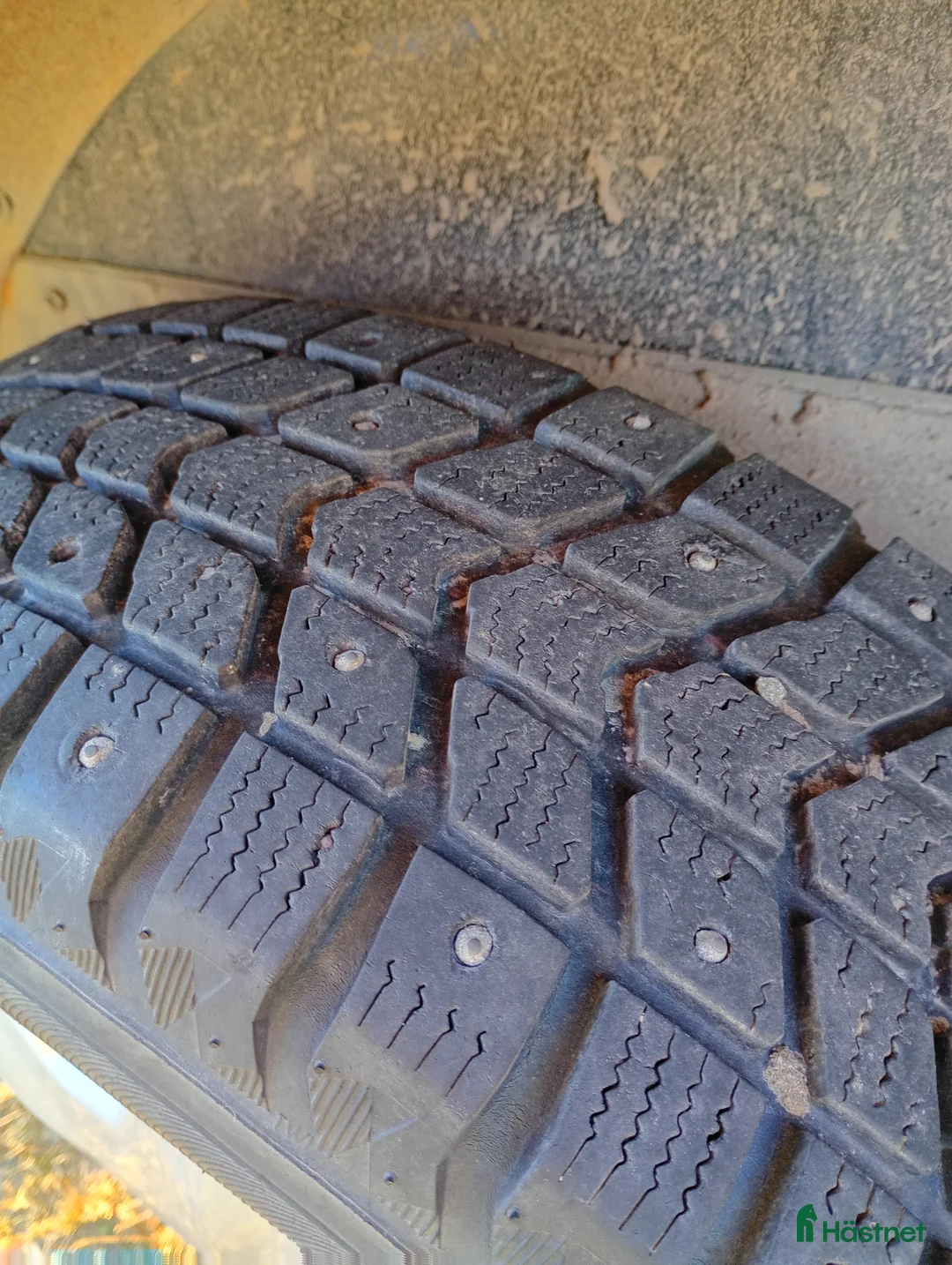 Hästtransporter  fordon & transport till salu: Bäckmann med sadelkammare i Istorp - Annons 4