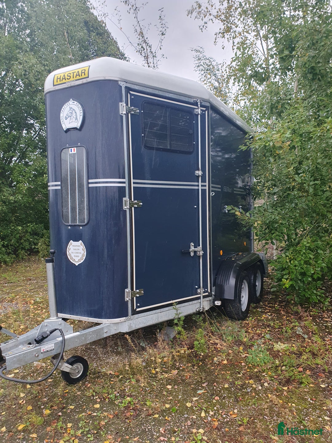 Hästtransporter  fordon & transport till salu: Fautras Provan i Köping - Annons 1