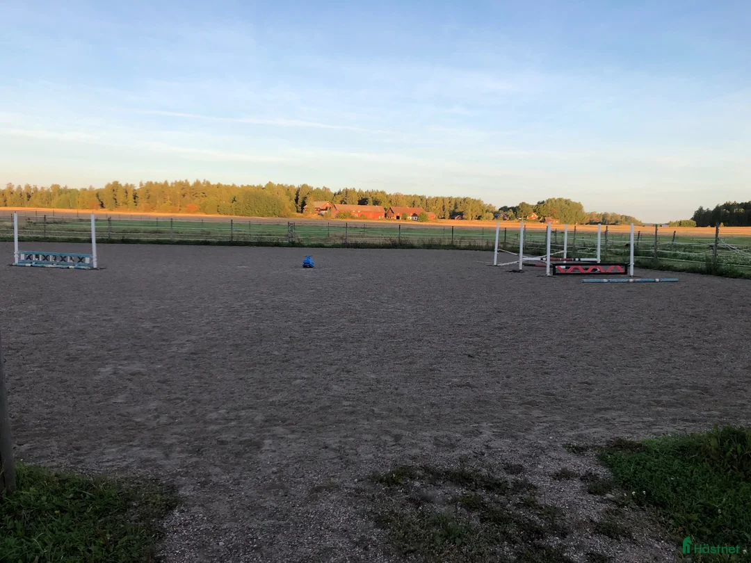  stallplats finnes: Stallplatser med belyst ridbana  - Annons 4