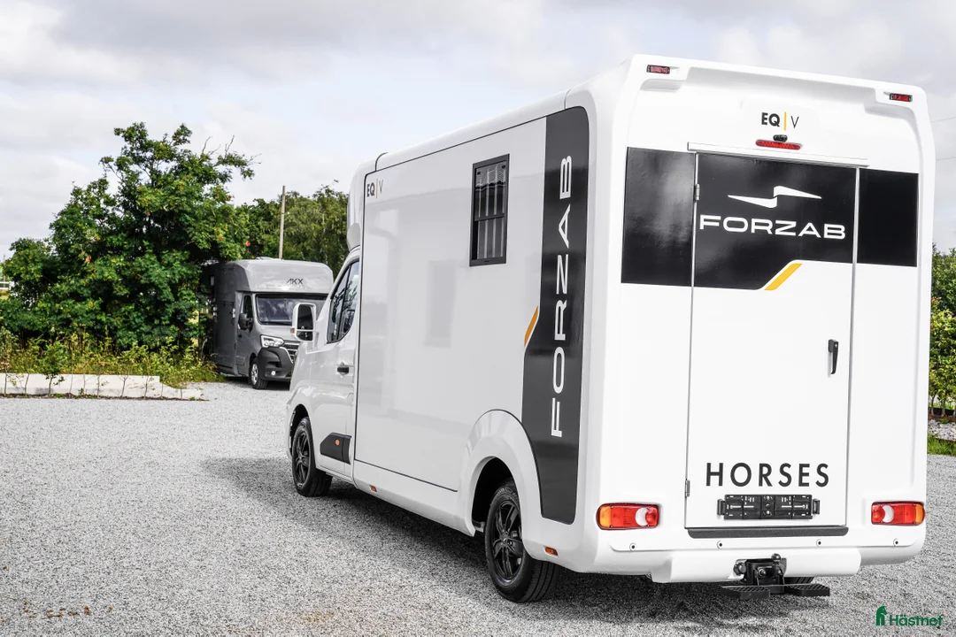Hästlastbilar  fordon & transport till salu: Forzab EQV 3 Stuteri *KAMPANJ* i Ängelholm - Annons 2