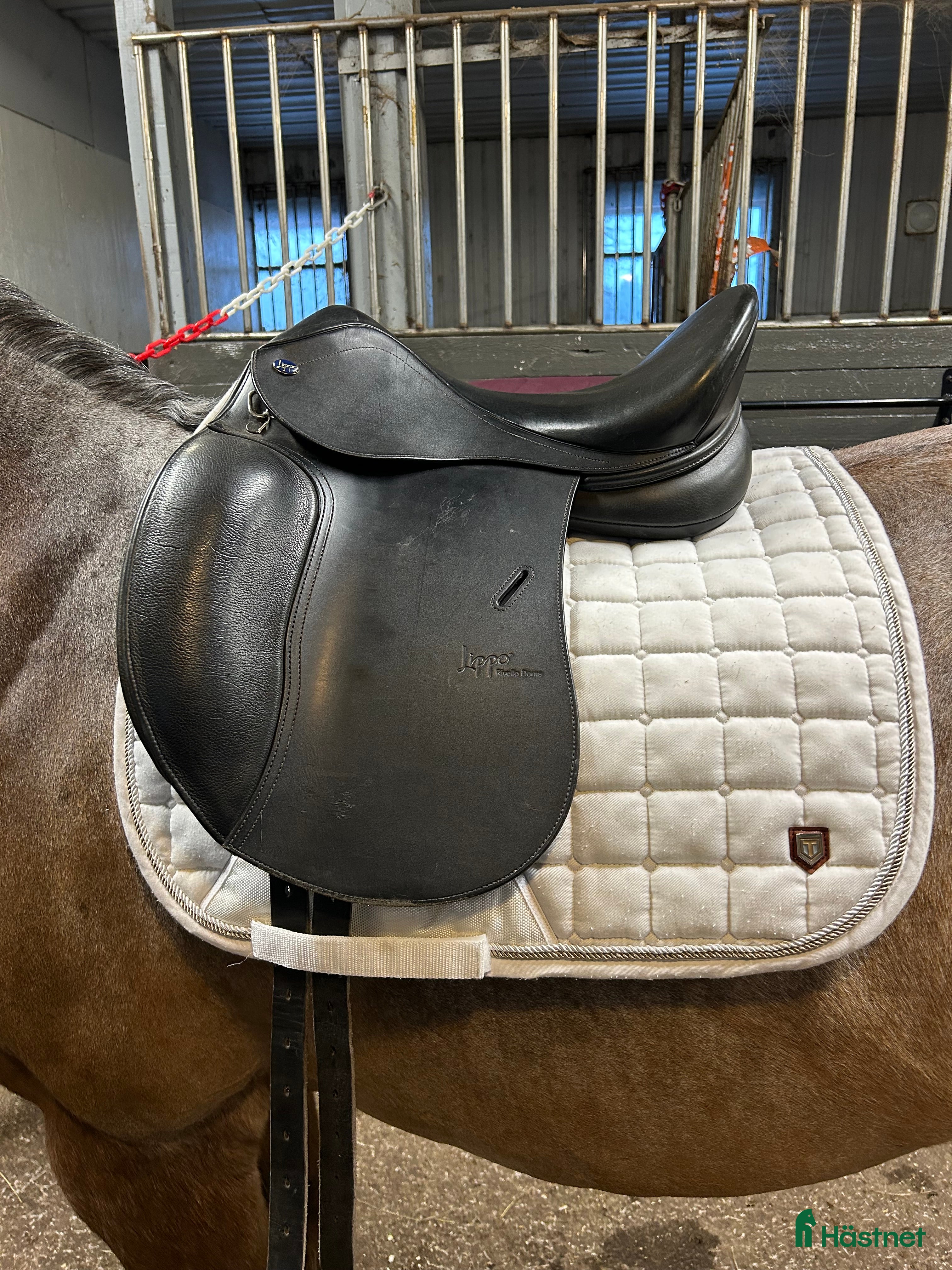 Sadlar hästutrustning Dressyrsadel 15,5 tum - Annons 18