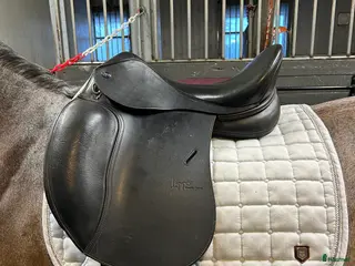 Sadlar hästutrustning Dressyrsadel 15,5 tum - Annons 18