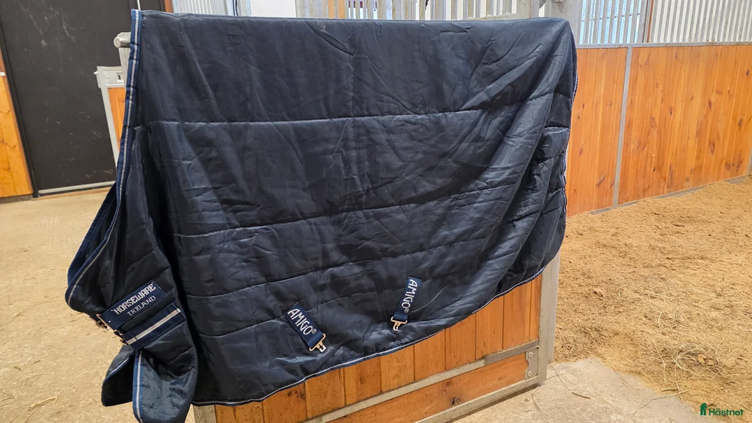 Täcken hästutrustning till salu: Amigo stalltäcke 100 g - Annons 1