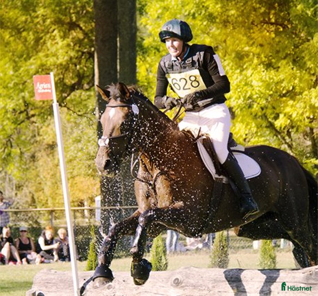 Galleribild {{count}}