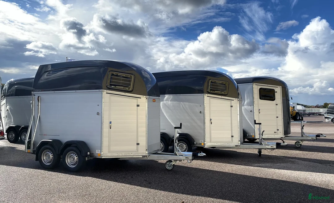 Hästtransporter  fordon & transport till salu: 1,5-hästars + sadelkammare -Kvalitet till bra pris i Kvicksund - Annons 2