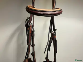 Träns hästutrustning Antares träna i brunt i Motala - Annons 10