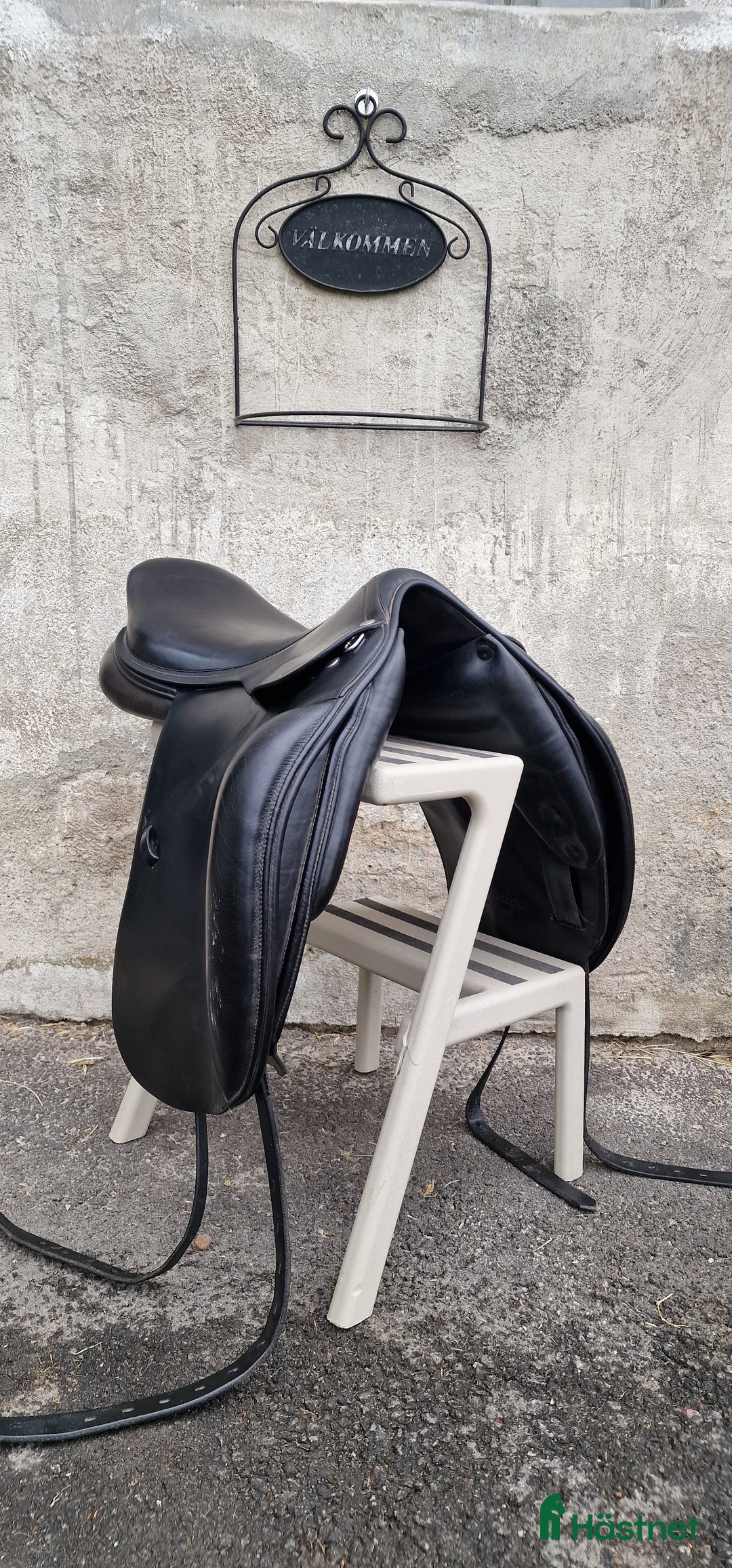 Sadlar hästutrustning till salu: Amerigo Alto i Matfors - Annons 4