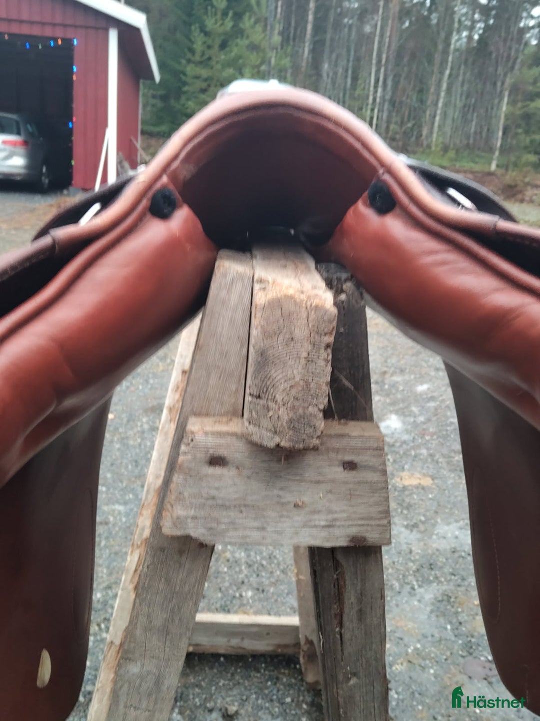 Sadlar hästutrustning till salu: Prestige Golden star  i Vännäsby - Annons 5