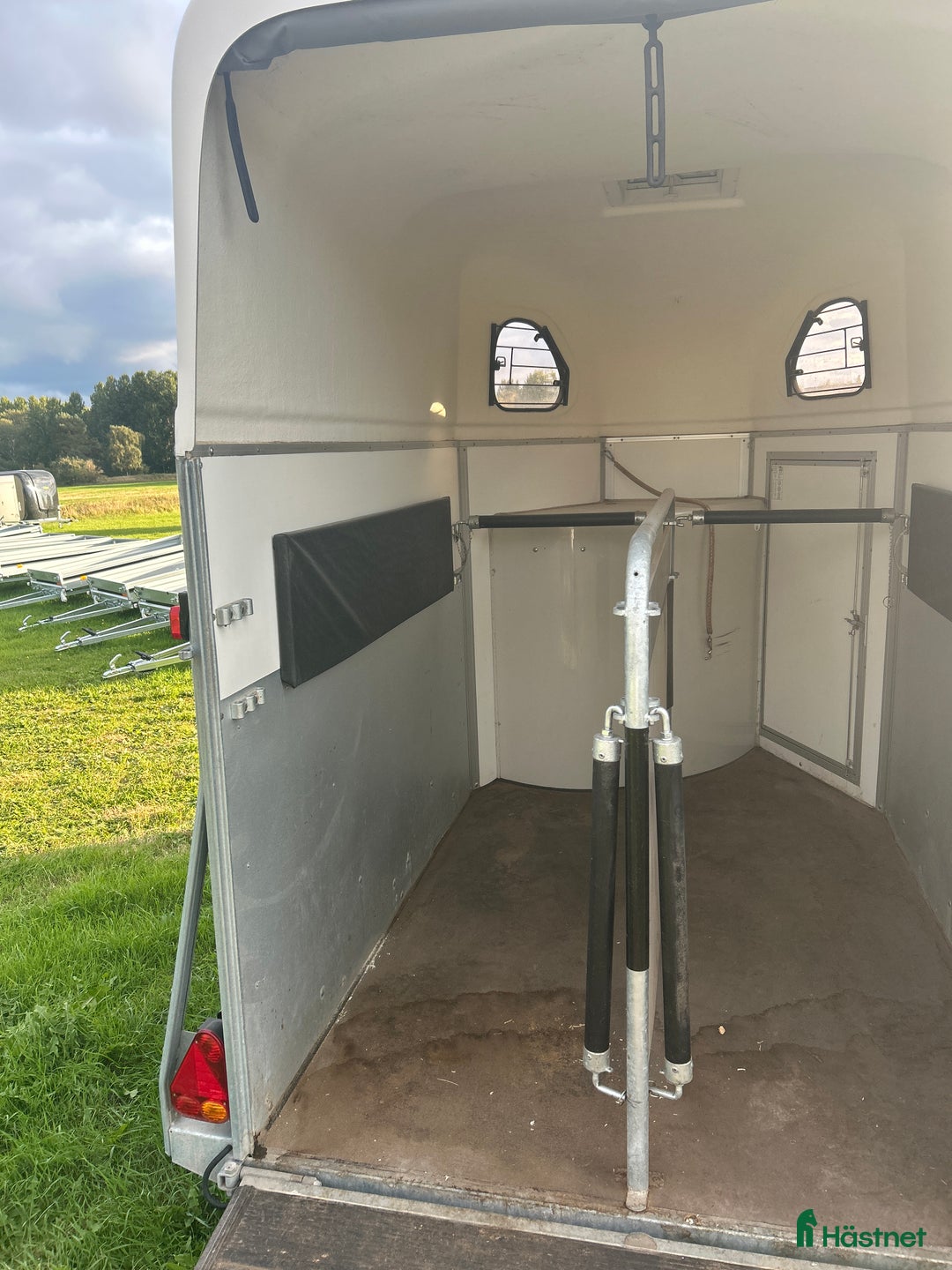 Hästtransporter  fordon & transport till salu: Cheval Liberté Gold 2017 i Kalmar - Annons 4