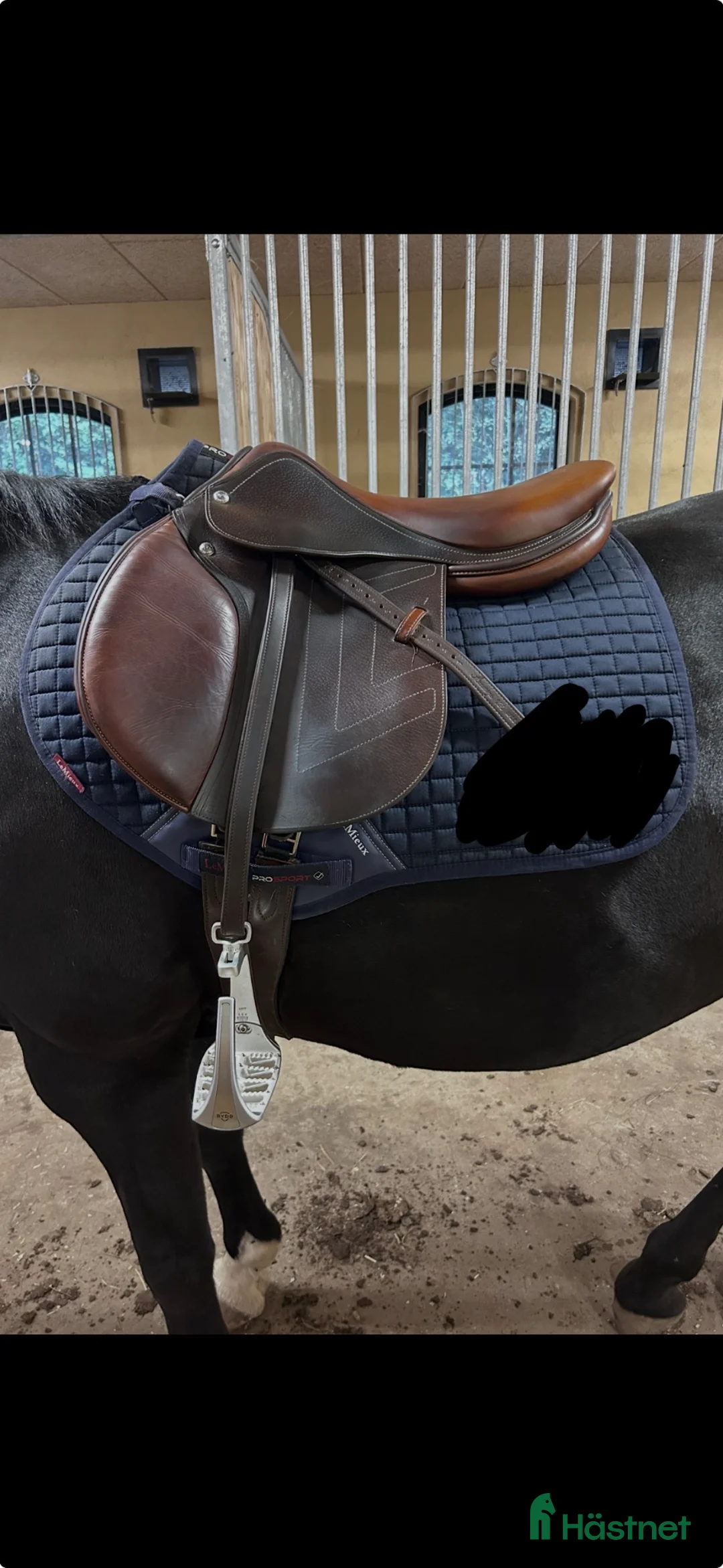 Sadlar hästutrustning till salu: Fin Renaissance 17” - Annons 9
