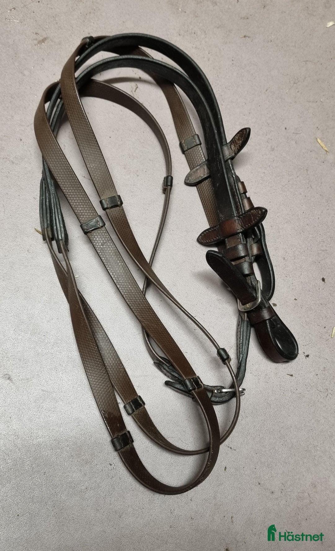 Träns hästutrustning till salu: Lippo Träns i Sölvesborg - Annons 2