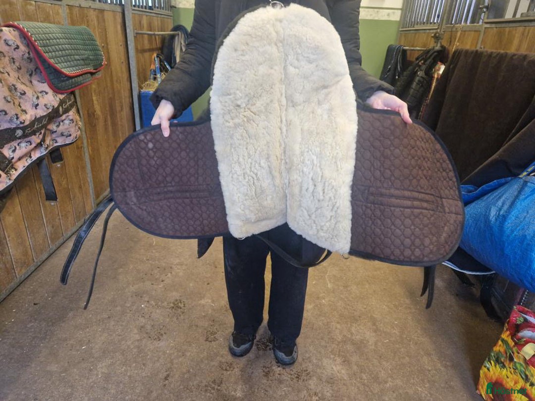 Sadlar hästutrustning till salu: Christ Basic Plus barbackasadel, fårskinn  i Kalmar - Annons 7