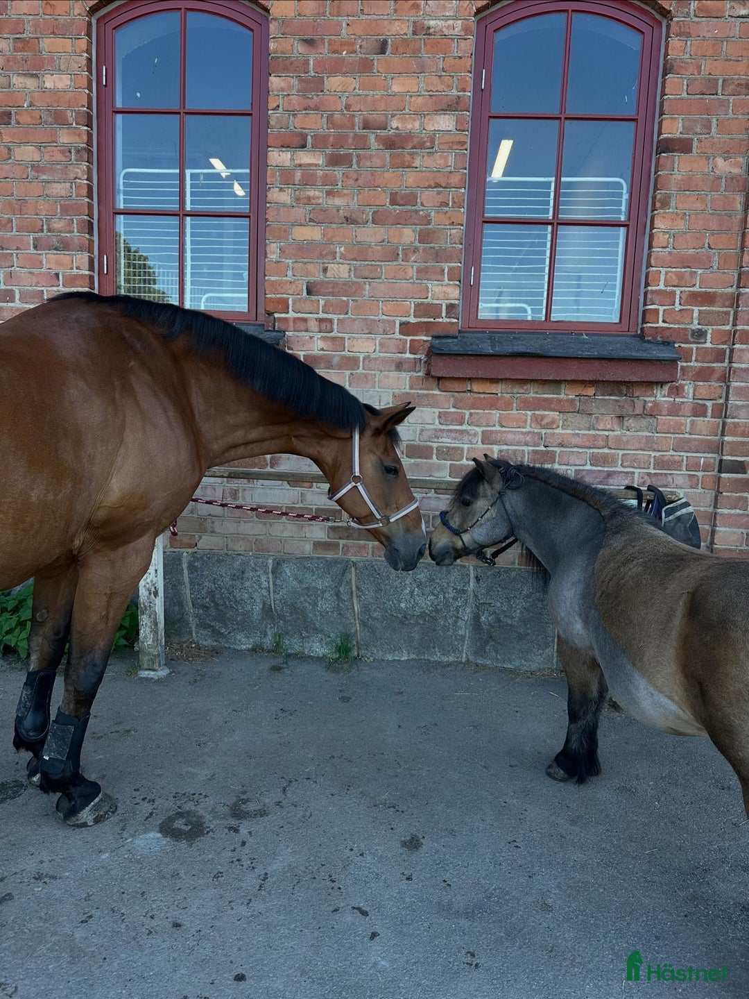  stallplats finnes: Stall Riddersvik i Hässelby har ledig stallplats! i Hässelby - Annons 1