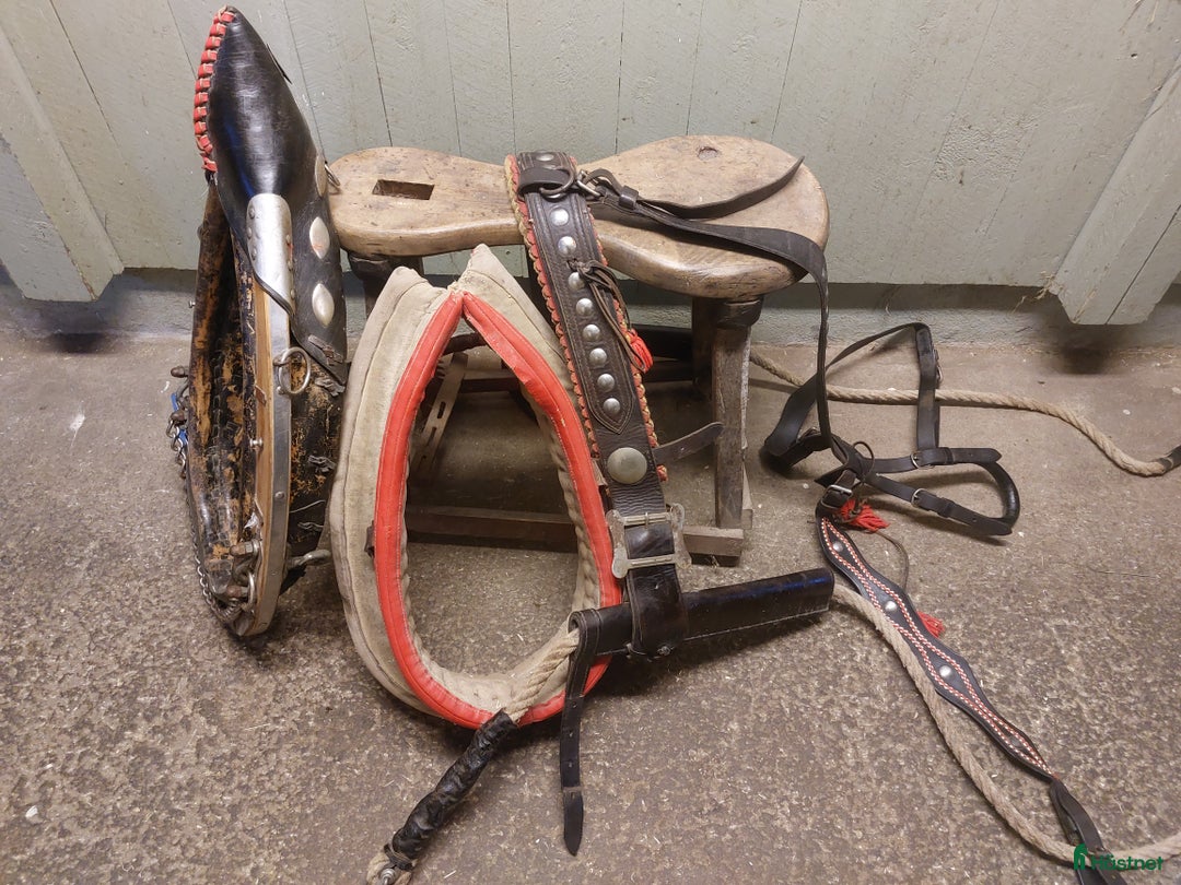 Övrig Körutrustning körning till salu: Unik julsele i Strömsund - Annons 1