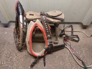 Övrig Körutrustning körning till salu: Unik julsele i Strömsund - Annons 12