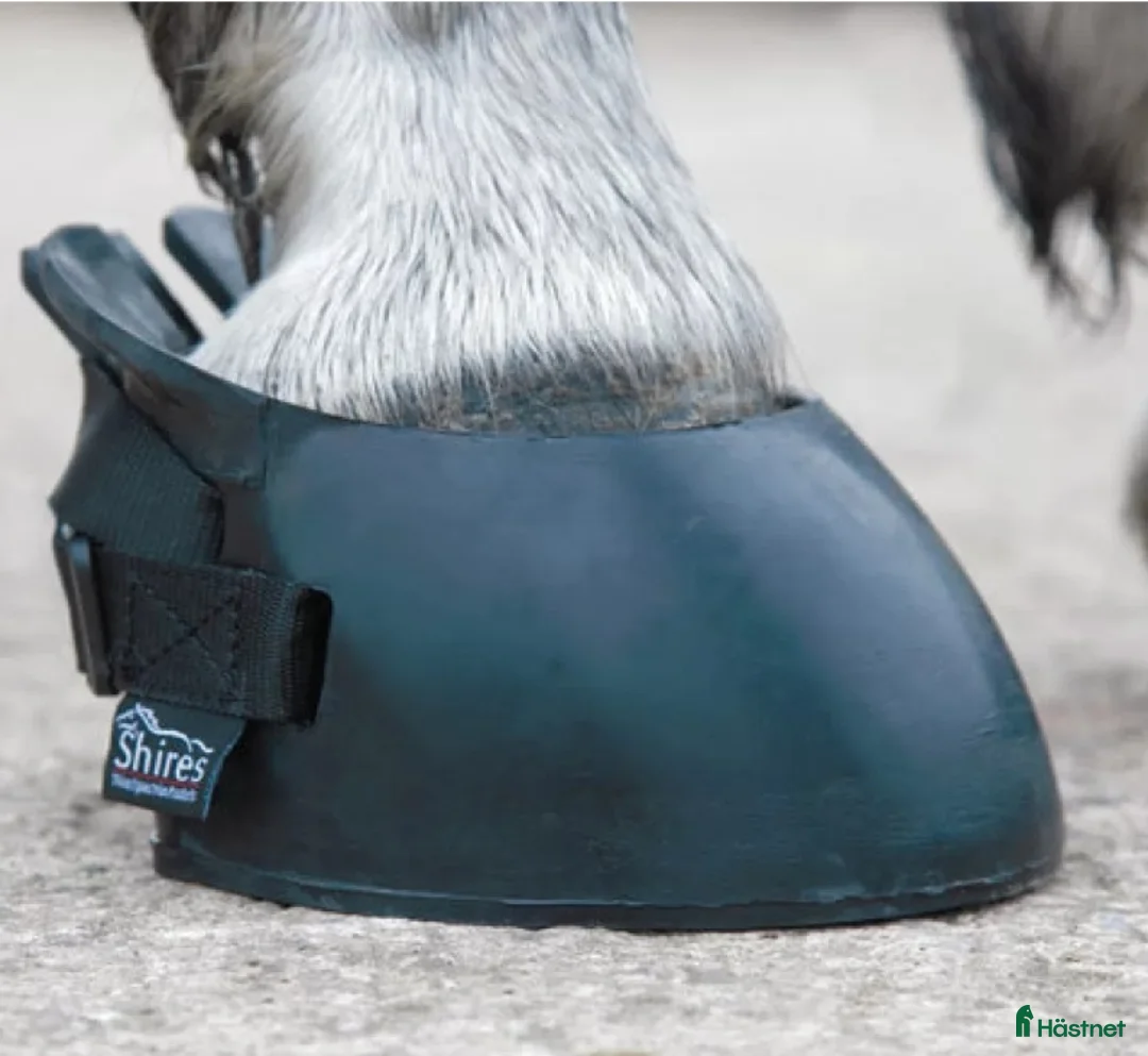 Benskydd hästutrustning till salu: Skyddsko häst Storlek L - Annons 2