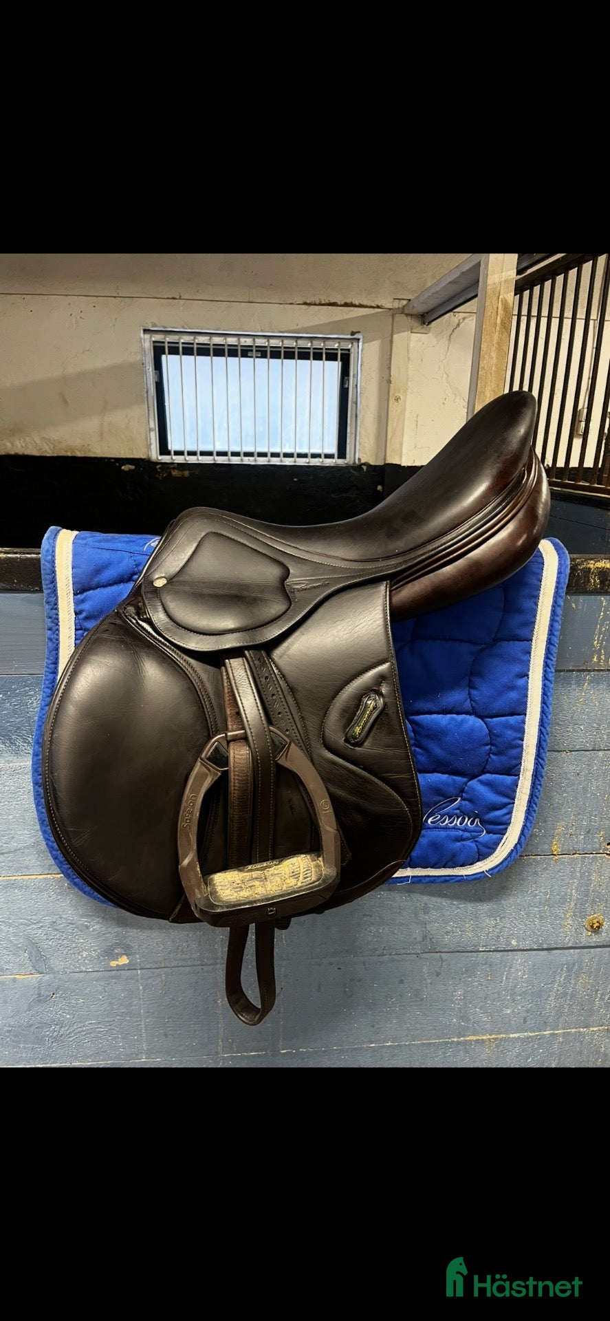 Sadlar hästutrustning Amerigo DJ Pinerolo 17.5” - Annons 18