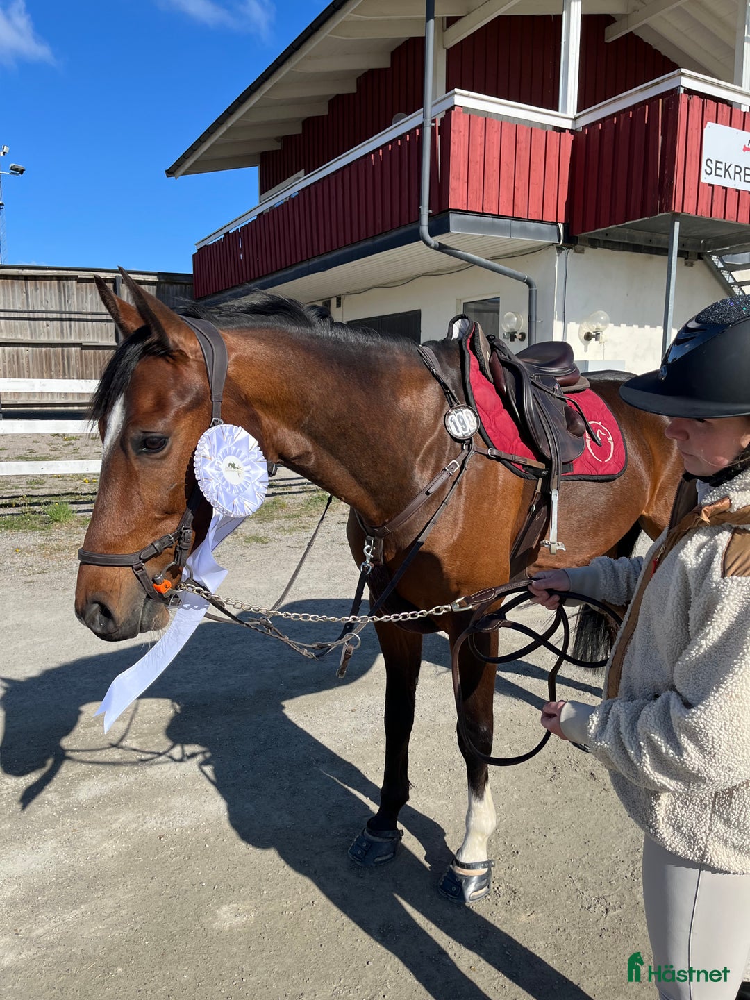 Allround hästar till salu: Underbar hopphäst! i Linköping - Annons 2