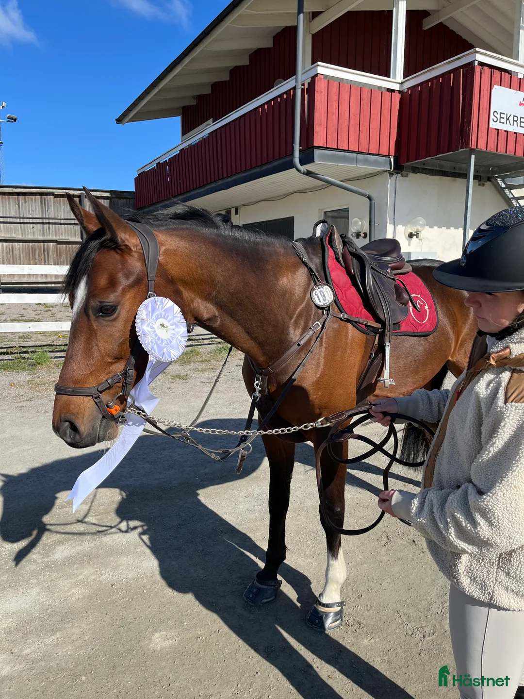 Allround hästar till salu: Underbar hopphäst! i Linköping - Annons 2