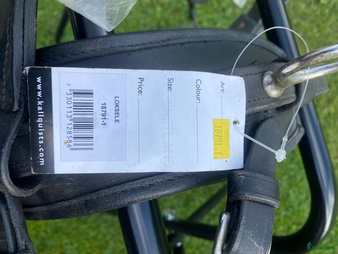 Körselar körning till salu: Komplett Loksele Shetland  i Tenhult - Annons 3