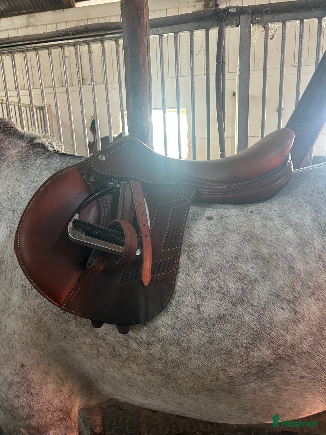 Sadlar hästutrustning till salu: Renaissance Bhoof hoppsadel  i Kungsbacka - Annons 1