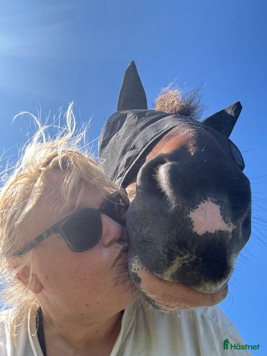  foderhäst sökes: Valack på foder för köp i Kärna - Annons 2