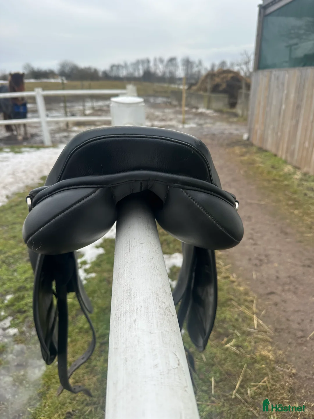 Sadlar hästutrustning till salu: maxflex sadel Island - Annons 3
