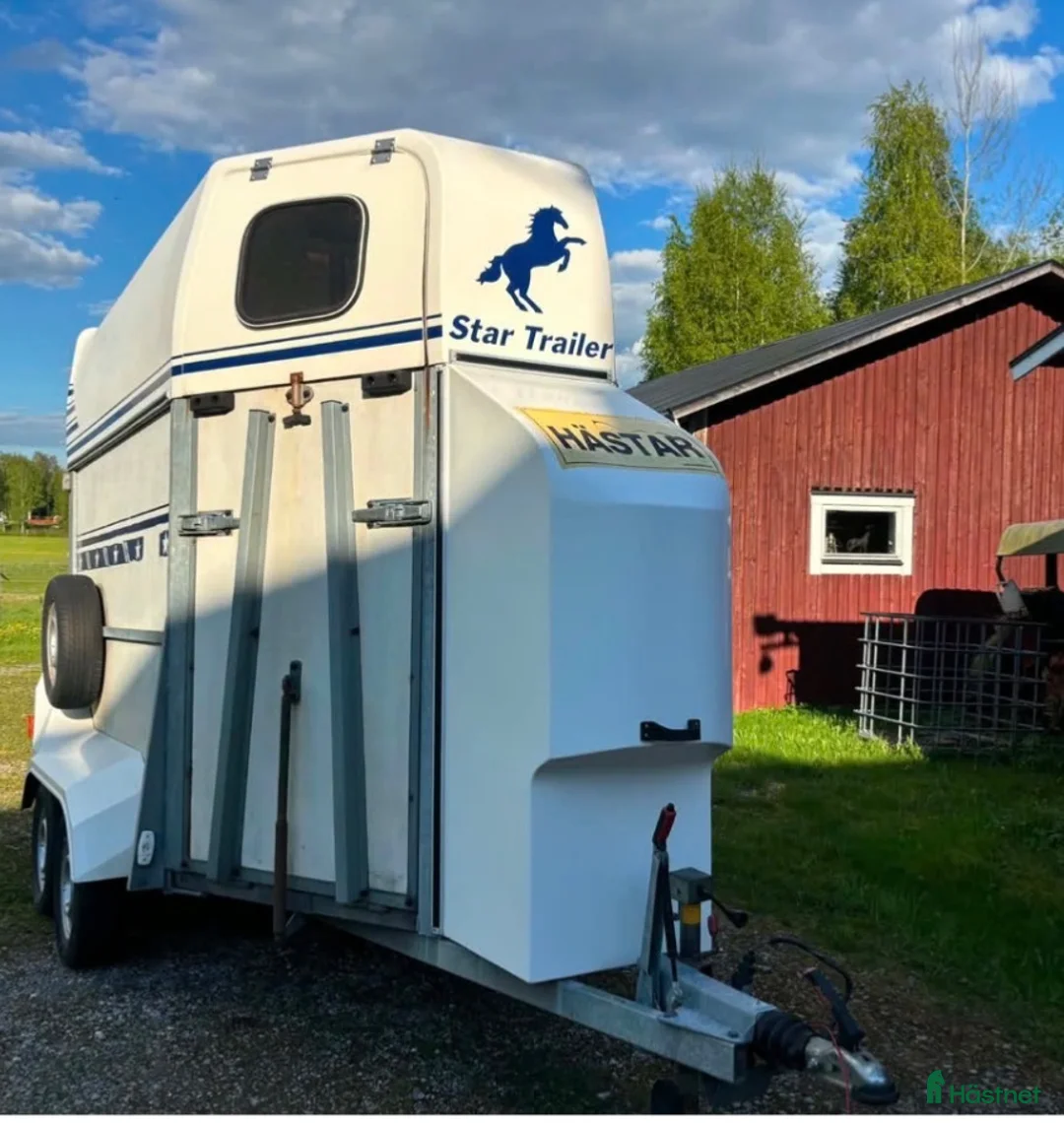 Hästtransporter  fordon & transport till salu: Star trailer zafir - Annons 1