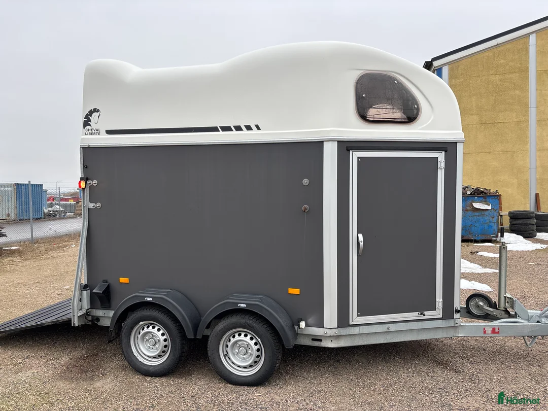 Hästtransporter  fordon & transport till salu: Fin Cheval -21 i Skurup - Annons 6
