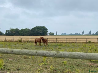 stallplats finnes: Boxplats i Malmö - Annons 2