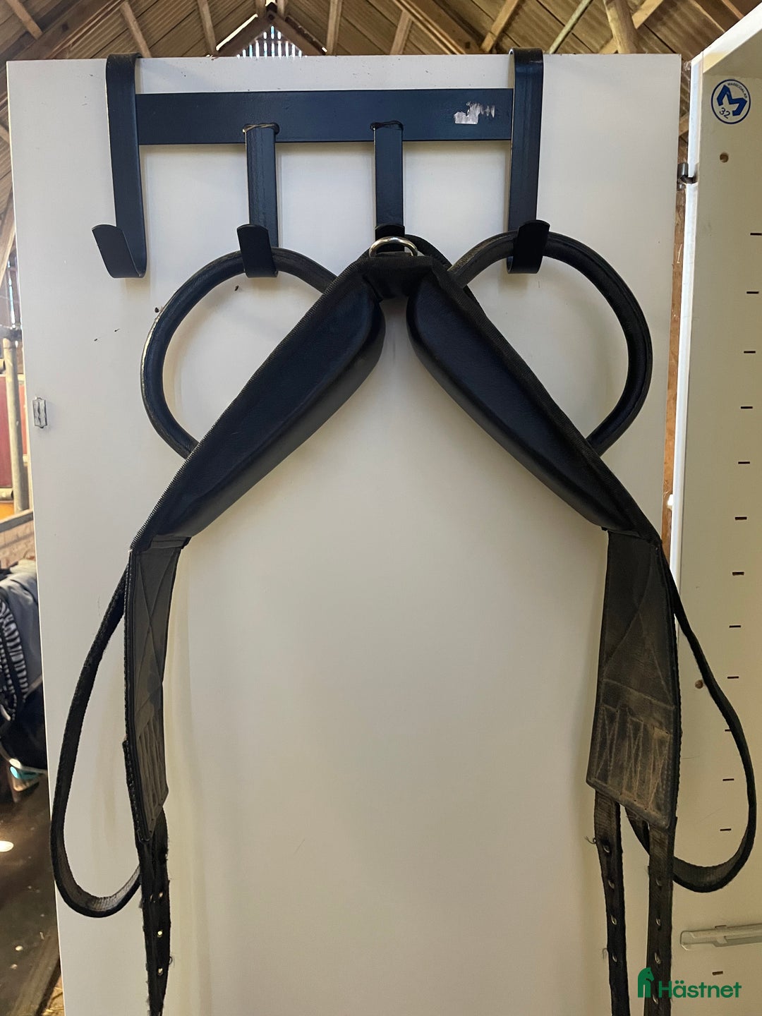 Övrig Hästutrustning hästutrustning till salu: Voltigegjord i Piteå - Annons 2