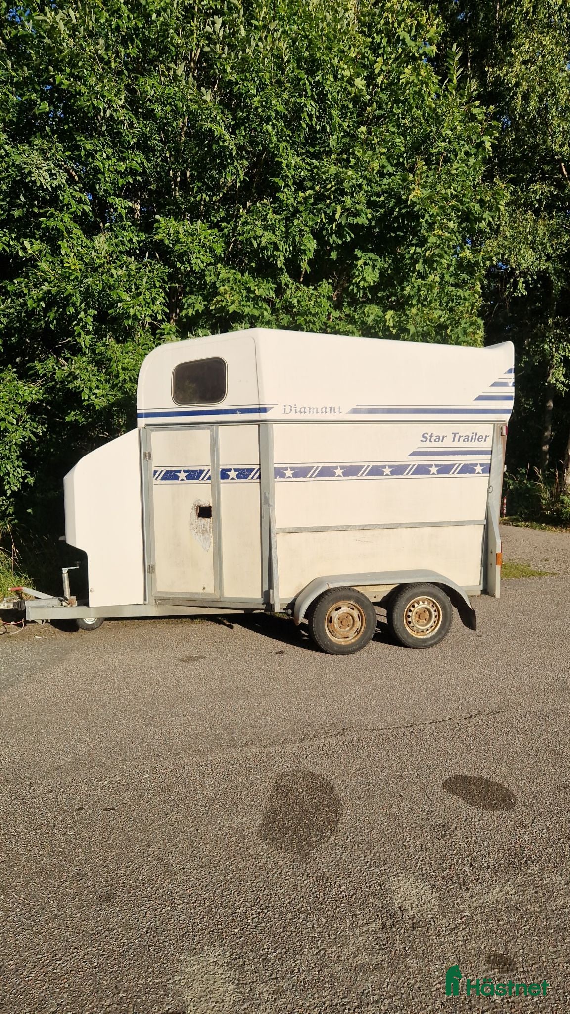 Hästtransporter  fordon & transport till salu: STAR TRAILER DIAMANT - Annons 20