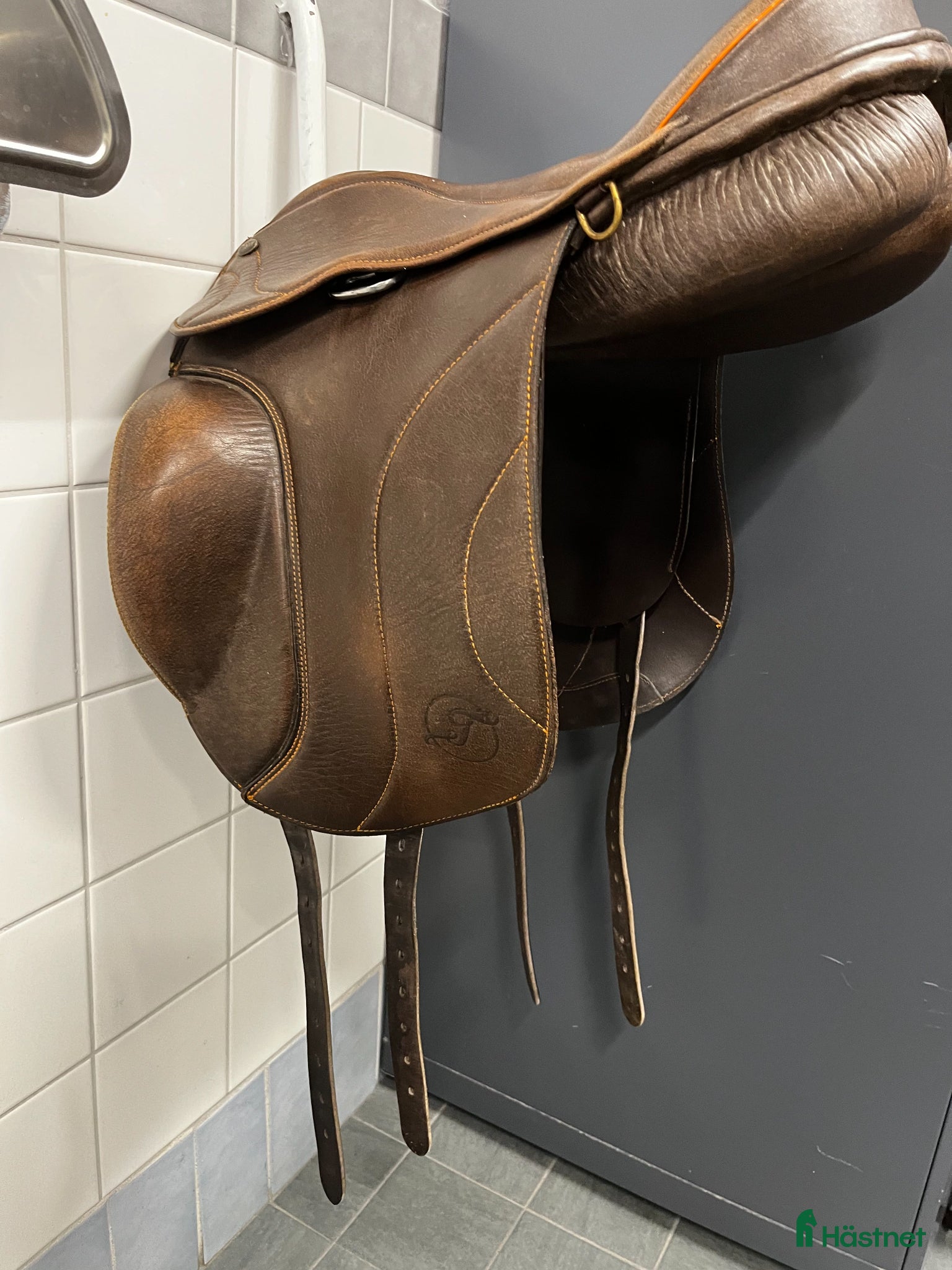 Sadlar hästutrustning TAUR Gaiter 17,5 - Annons 5