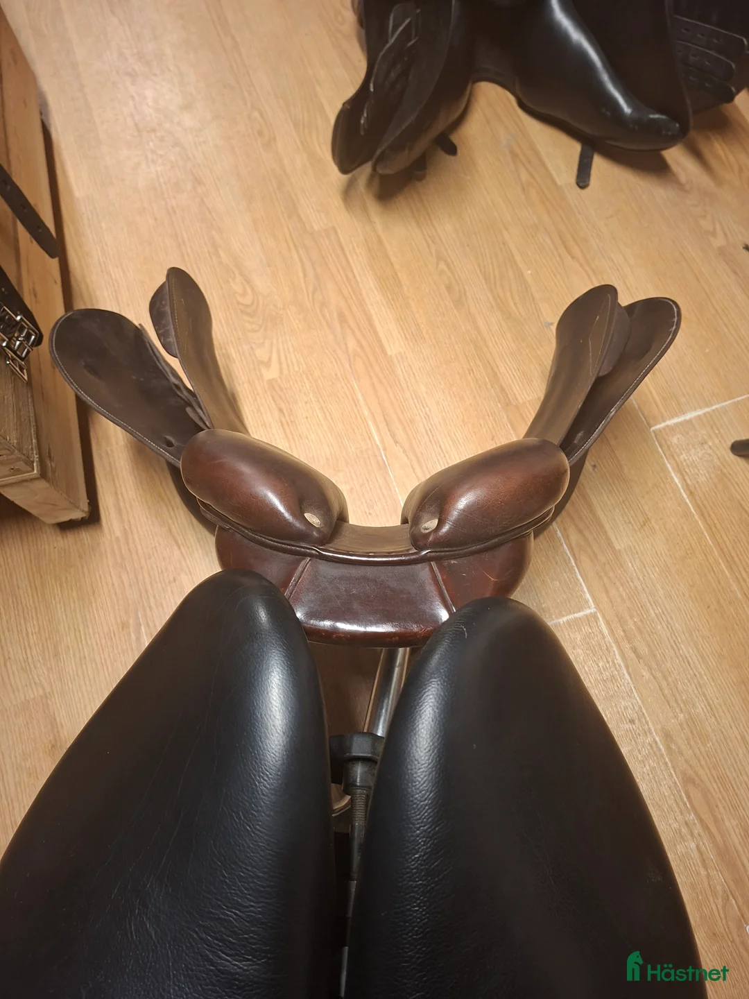 Sadlar hästutrustning till salu: Antares Signature - Annons 5