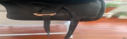 Sadlar hästutrustning till salu: Hilbar Royal 17,5” dressyr / island - Annons 5