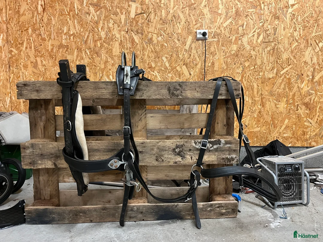 Körselar körning till salu: Komplett loksele  i Funäsdalen - Annons 2