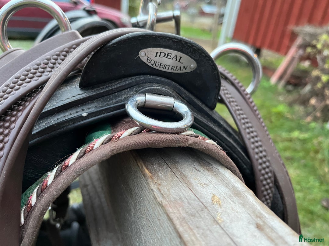 Körselar körning till salu: Maratonsele med fransk brösta storlek Shire i Västra Ämtervik - Annons 4