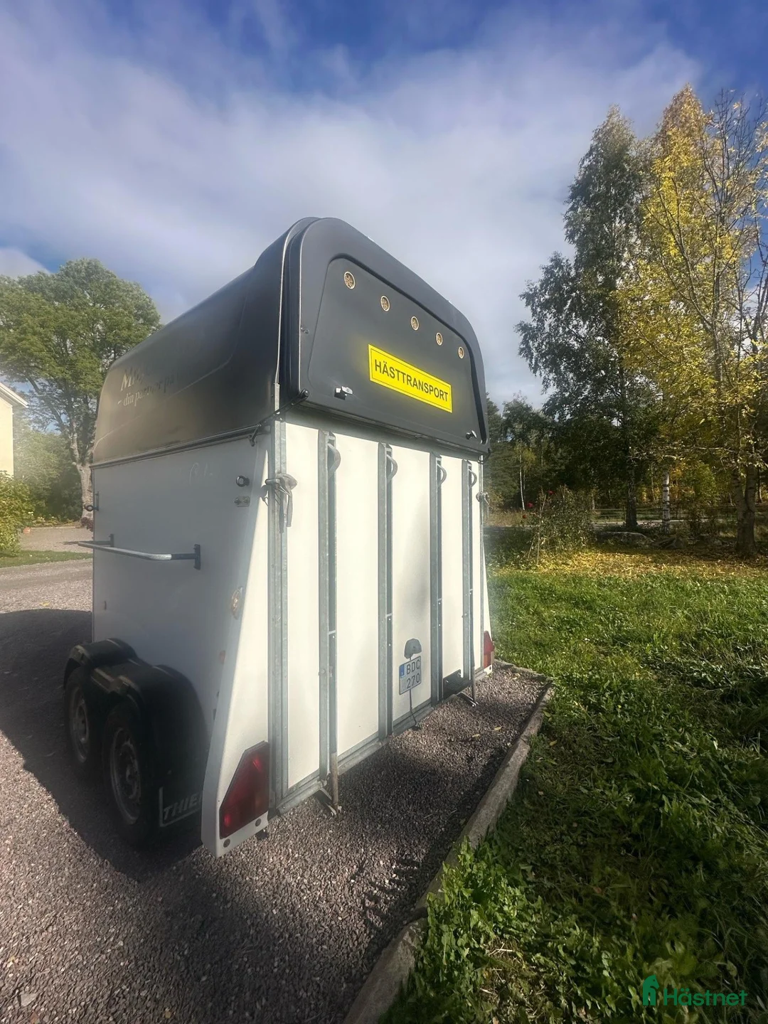 Hästtransporter  fordon & transport till salu: Thiel T4 DOMINO i Falun - Annons 3