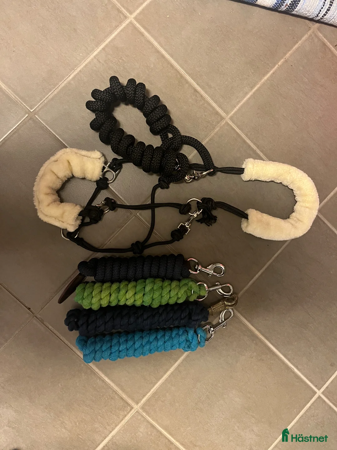 Övrig Hästutrustning hästutrustning till salu: Övriga hästsaker  - Annons 3