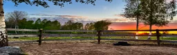  hästservice finnes: Rehab och konvalescens i lugn miljö - Annons 7