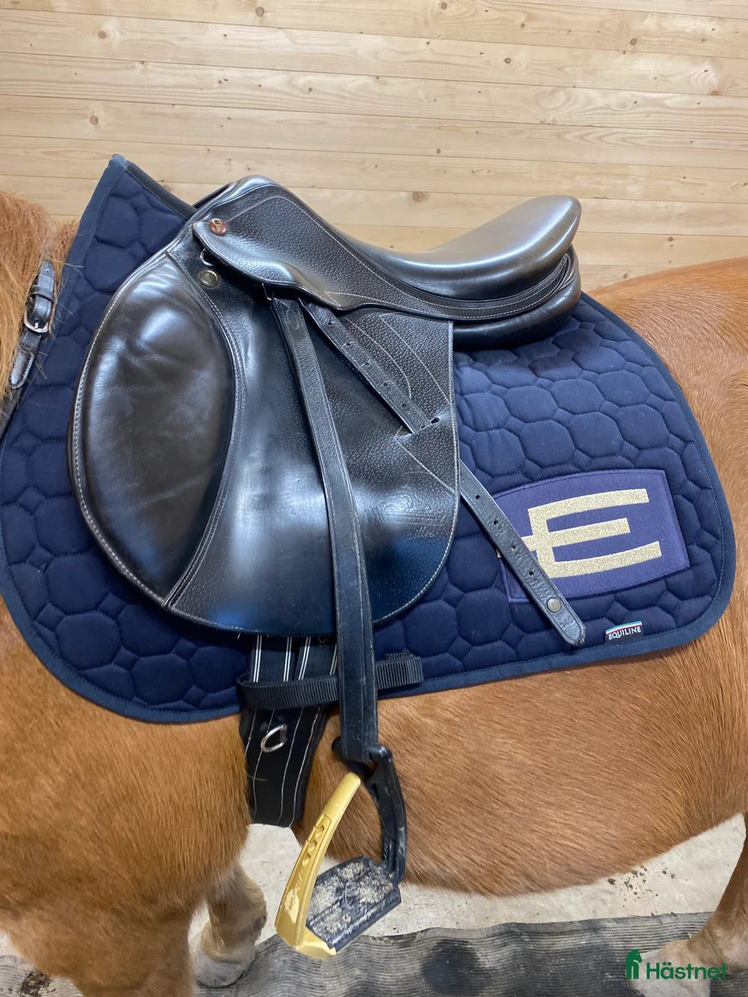 Sadlar hästutrustning till salu: Prestige allroundsadel i Jönköping - Annons 5